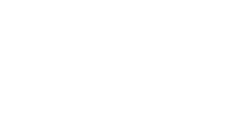 Asset_Light
