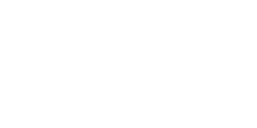 Dinerstein_Light
